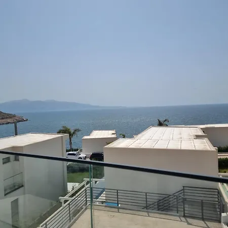 Palmera - Palmera Sarandë